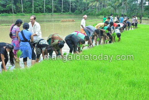 Students get a feel of farm activity; take part in Neji Naati at Konaje